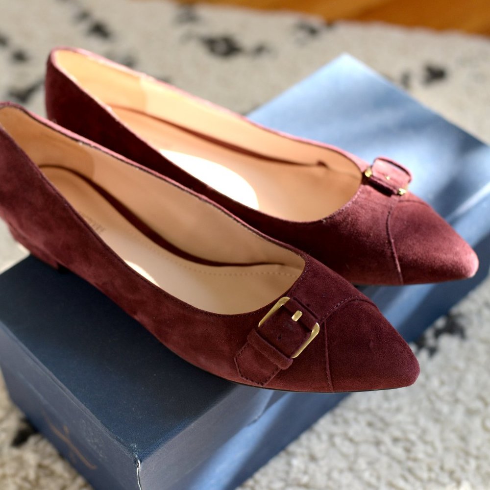 Pour la Victoire suede buckle Elzira flats